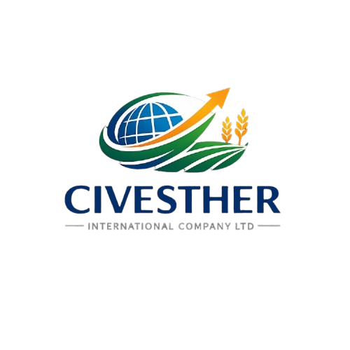 Civesther International Company Ltd logo